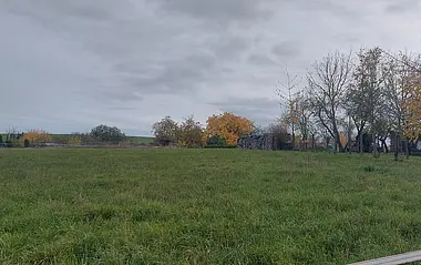 Grüne Wiese mit Baumreihe unter bewölktem Himmel.