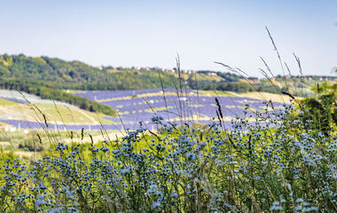 Solarmodul-Anlagen erstrecken sich vor einer grünen Hügellandschaft.