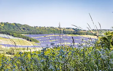 Solarmodul-Anlagen erstrecken sich vor einer grünen Hügellandschaft.