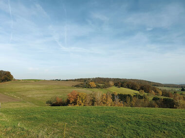 Hügelige Landschaft mit Wiesen und herbstlichem Laubwald unter blauem Himmel.