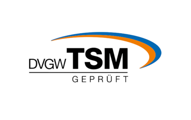 DVGW TSM-Logo für Strom