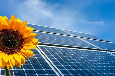 Eine Sonnenblume vor Solarmodulen, symbolisch für nachhaltige Energie.