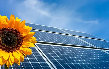 Eine Sonnenblume vor Solarmodulen, symbolisch für nachhaltige Energie.