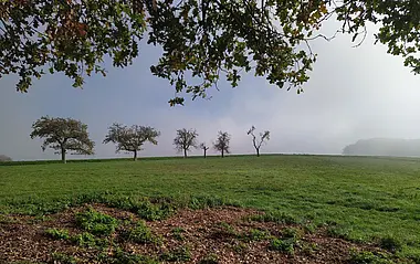 Areal für das Neubaugebiet Am Kirschberg in Brensbach