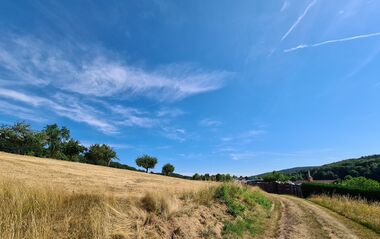 Trockenes Feld mit Weg führt zu bewaldeten Hügeln unter blauem Himmel.