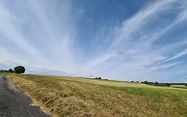 Hügelige Landschaft mit gemähtem Feld und asphaltiertem Weg.