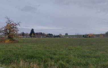 Grüne Wiese mit Bäumen und einem Feld im Hintergrund bei bewölktem Himmel.