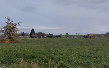 Grüne Wiese mit Bäumen und einem Feld im Hintergrund bei bewölktem Himmel.
