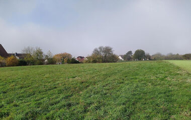 Eine grüne Wiese, umgeben von Häusern und Bäumen, unter einem bewölkten Himmel.