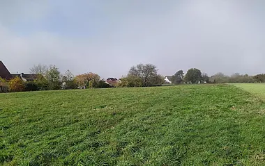 Eine grüne Wiese, umgeben von Häusern und Bäumen, unter einem bewölkten Himmel.