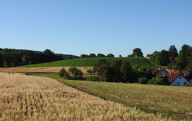Goldener Weizenfeldrand mit sanften Hügeln und Häusern im Hintergrund.