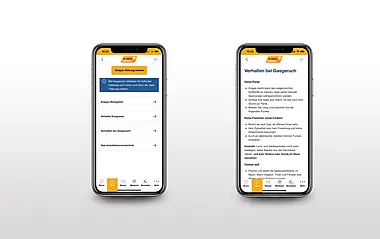 Zwei Screenshots der App e-netz-Report: 1. Übersicht der Sparte Gas und 2. Detailansicht einer Störung aus dem Erdgasnetz in Form eines konzentrischen Kreises in Kartenoptik