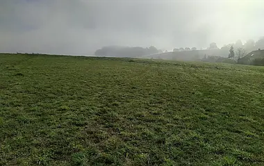 Grünes Feld mit Nebel im Hintergrund.