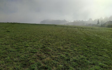 Grünes Feld mit Nebel im Hintergrund.
